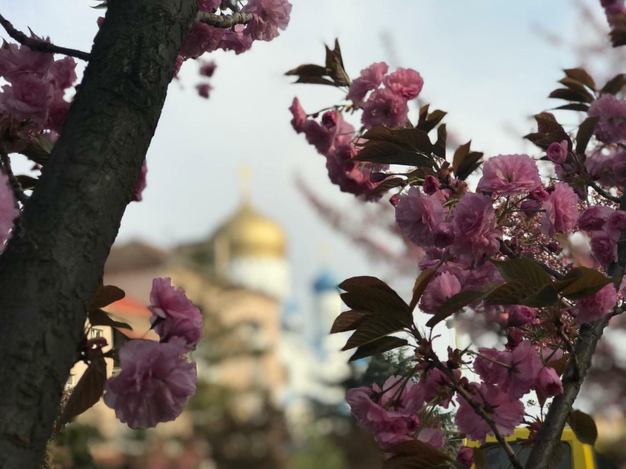 Арт Квартира В Центрі Міста Uzjhorod Eksteriør bilde