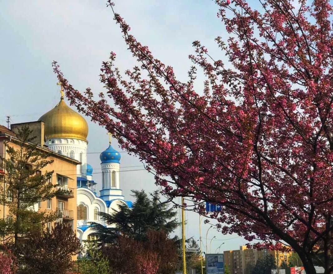 Арт Квартира В Центрі Міста Uzjhorod Eksteriør bilde
