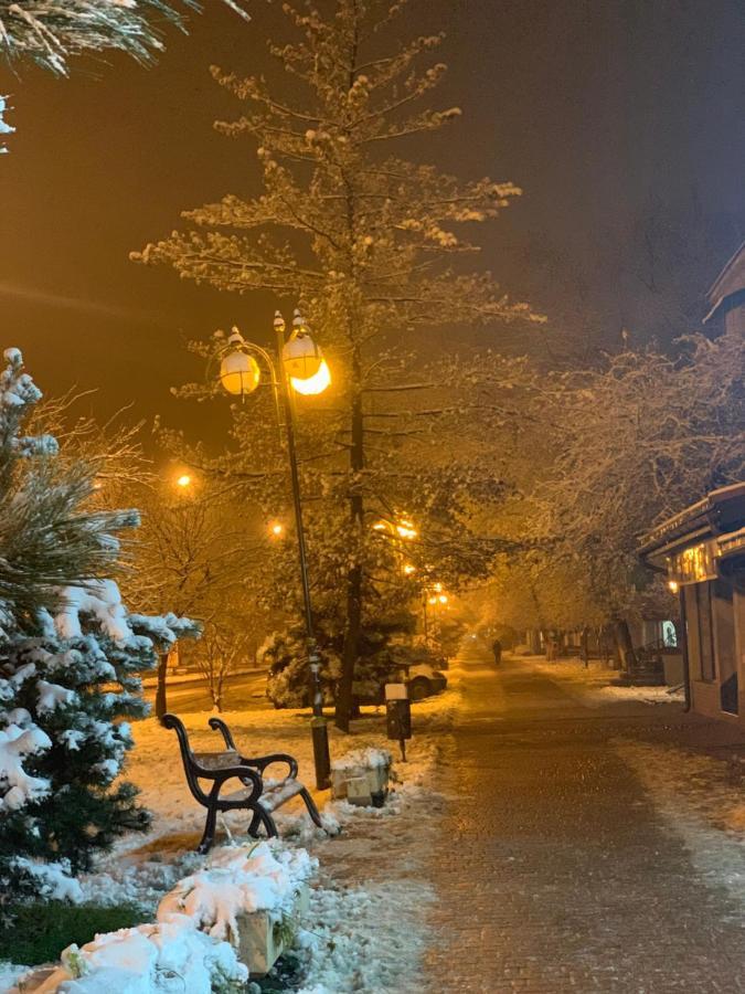 Арт Квартира В Центрі Міста Uzjhorod Eksteriør bilde